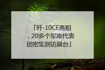 歼-10CE亮相，20多个军政代表团密集到访展台
