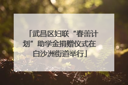 武昌区妇联“春蕾计划”助学金捐赠仪式在白沙洲街道举行