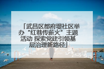 武昌区都府堤社区举办“红巷传薪火”主题活动 探索党建引领基层治理新路径