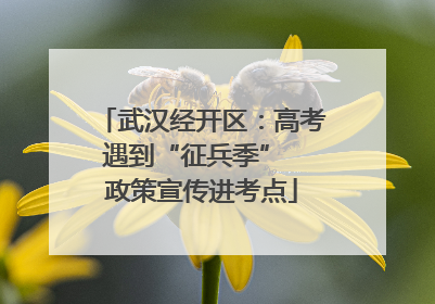 武汉经开区：高考遇到“征兵季”  政策宣传进考点
