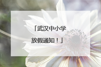 武汉中小学放假通知！