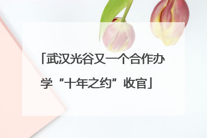 武汉光谷又一个合作办学“十年之约”收官