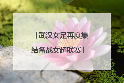 武汉女足再度集结备战女超联赛