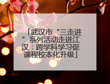 武汉市“三走进”系列活动走进江汉：跨学科学习促课程校本化升级