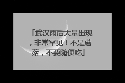 武汉雨后大量出现，非常罕见！不是蘑菇，不要随便吃