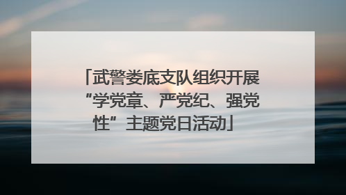 武警娄底支队组织开展“学党章、严党纪、强党性”主题党日活动