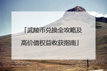 武陵币兑换全攻略及高价值权益收获指南