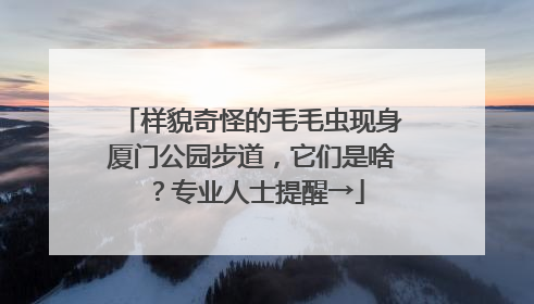 样貌奇怪的毛毛虫现身厦门公园步道，它们是啥？专业人士提醒→