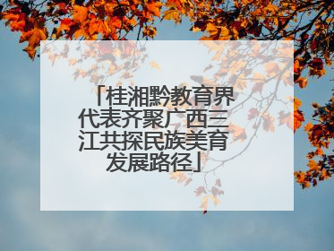 桂湘黔教育界代表齐聚广西三江共探民族美育发展路径