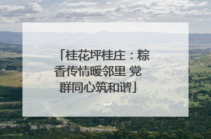 桂花坪桂庄：粽香传情暖邻里 党群同心筑和谐
