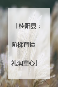 桂阳县：阶梯育德 礼润童心