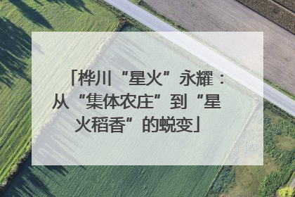 桦川“星火”永耀：从“集体农庄”到“星火稻香”的蜕变