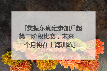 樊振东确定参加乒超第二阶段比赛，未来一个月将在上海训练