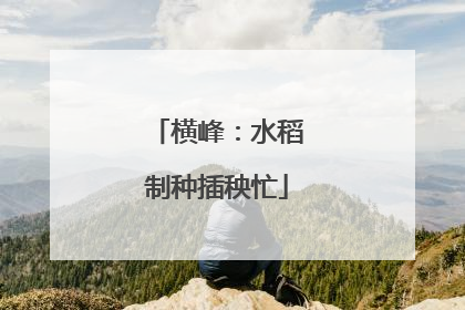 横峰：水稻制种插秧忙