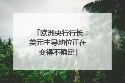 欧洲央行行长：美元主导地位正在变得不确定
