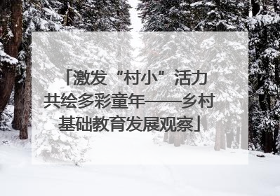 激发“村小”活力 共绘多彩童年——乡村基础教育发展观察