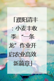 濮阳清丰：小麦丰收季 “一条龙”作业开启农业高效新篇章