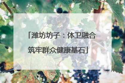 潍坊坊子：体卫融合筑牢群众健康基石