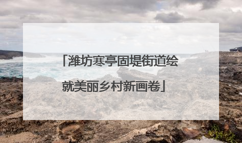 潍坊寒亭固堤街道绘就美丽乡村新画卷