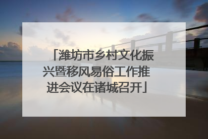 潍坊市乡村文化振兴暨移风易俗工作推进会议在诸城召开