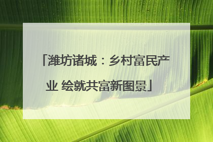 潍坊诸城：乡村富民产业 绘就共富新图景