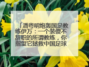 潘粤明炮轰国足教练伊万：一个装傻不辞职的所谓教练，你指望它拯救中国足球！此前曾多次发文评价国足