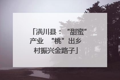 潢川县：“甜蜜”产业  “桃”出乡村振兴金路子