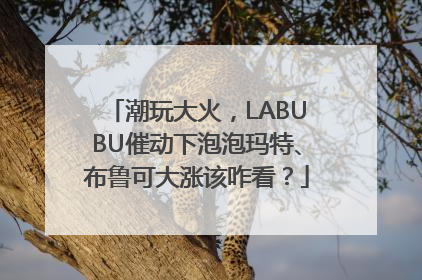 潮玩大火，LABUBU催动下泡泡玛特、布鲁可大涨该咋看？