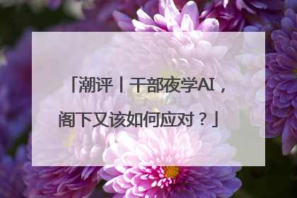 潮评丨干部夜学AI，阁下又该如何应对？
