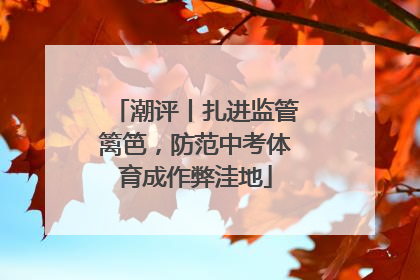 潮评丨扎进监管篱笆，防范中考体育成作弊洼地