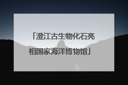 澄江古生物化石亮相国家海洋博物馆
