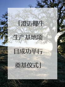澄迈椰牛生产基地项目成功举行奠基仪式