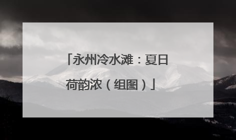 永州冷水滩：夏日荷韵浓（组图）