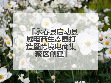 永春县启动县域电商生态圈打造暨跨境电商集聚区创建