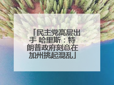 民主党高层出手 哈里斯：特朗普政府刻意在加州挑起混乱