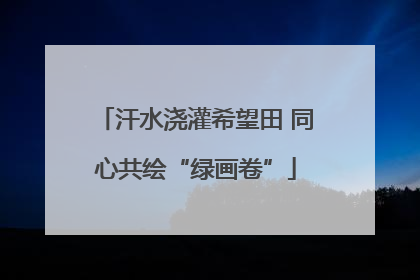 汗水浇灌希望田 同心共绘“绿画卷”