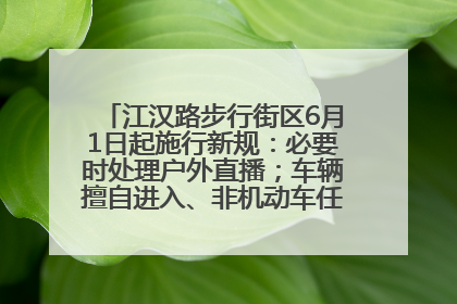 江汉路步行街区6月1日起施行新规：必要时处理户外直播；车辆擅自进入、非机动车任意停放的，依法处理