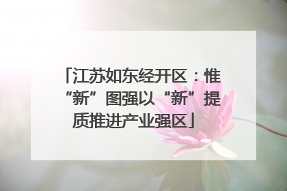 江苏如东经开区：惟“新”图强以“新”提质推进产业强区