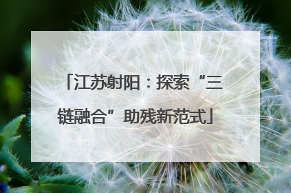 江苏射阳：探索“三链融合”助残新范式
