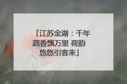 江苏金湖：千年藕香飘万里 荷韵悠悠引客来