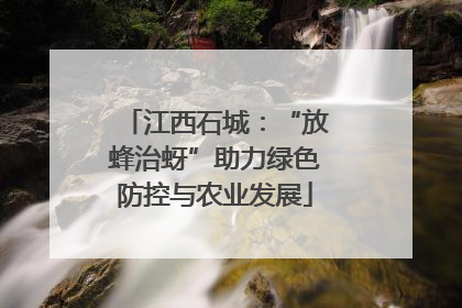 江西石城：“放蜂治蚜”助力绿色防控与农业发展