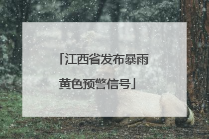 江西省发布暴雨黄色预警信号
