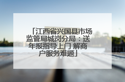 江西省兴国县市场监管局城岗分局：送年报指导上门 解商户服务难题