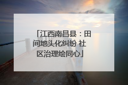 江西南昌县：田间地头化纠纷 社区治理绘同心