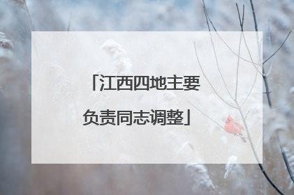 江西四地主要负责同志调整