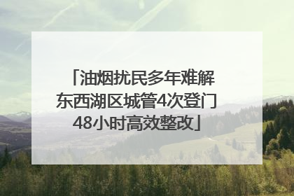 油烟扰民多年难解 东西湖区城管4次登门48小时高效整改