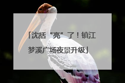 沈括“亮”了！镇江梦溪广场夜景升级