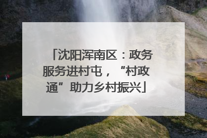 沈阳浑南区：政务服务进村屯，“村政通”助力乡村振兴