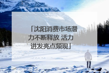 沈阳消费市场潜力不断释放 活力迸发亮点频现