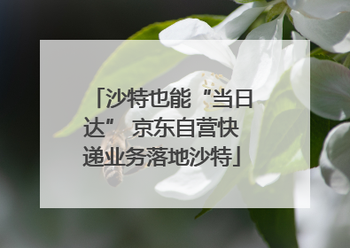 沙特也能“当日达” 京东自营快递业务落地沙特